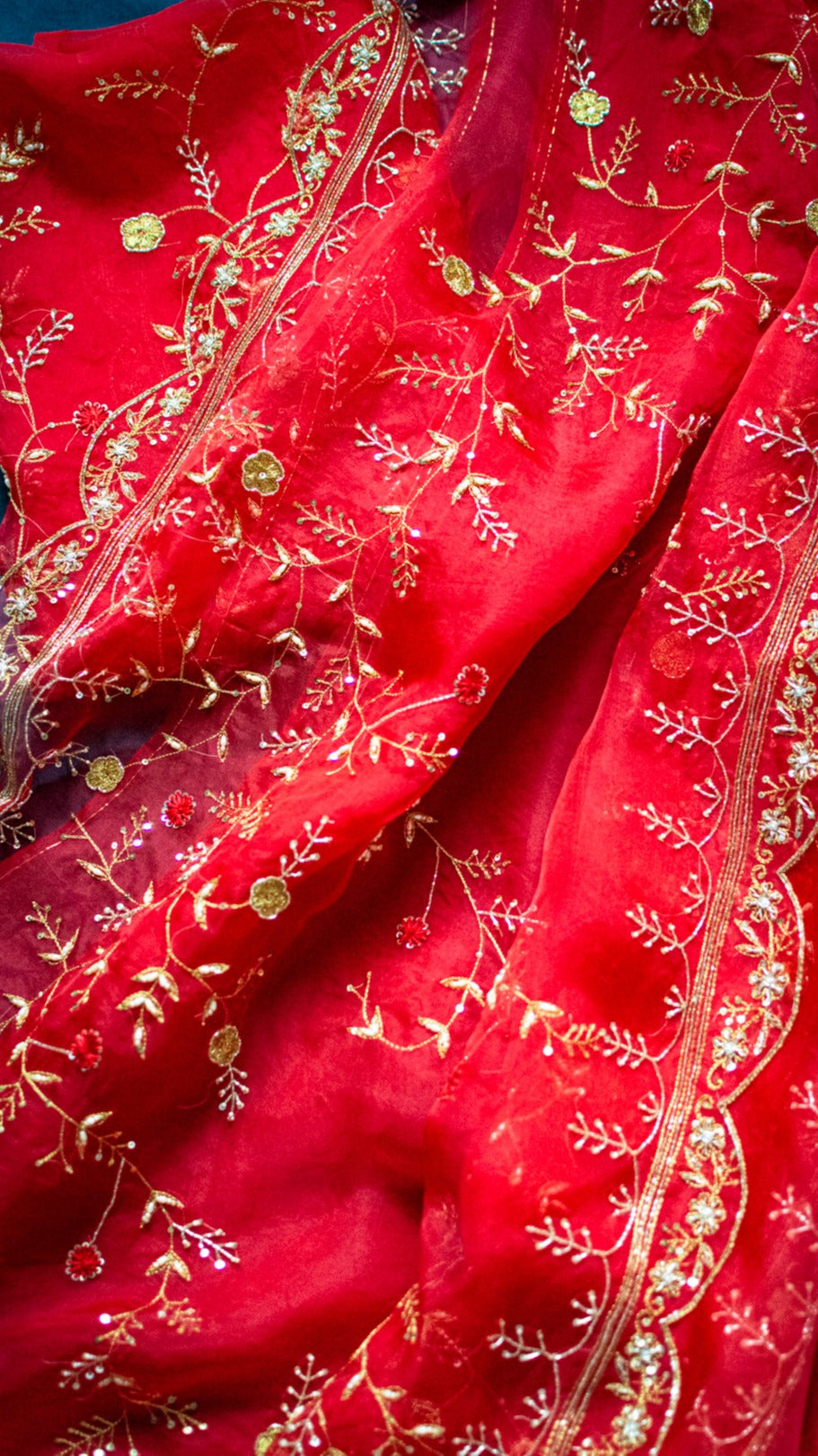 Lal Jaal : Pure organza silk saree with zari and zardozi all over jaal hand embroidery - 1