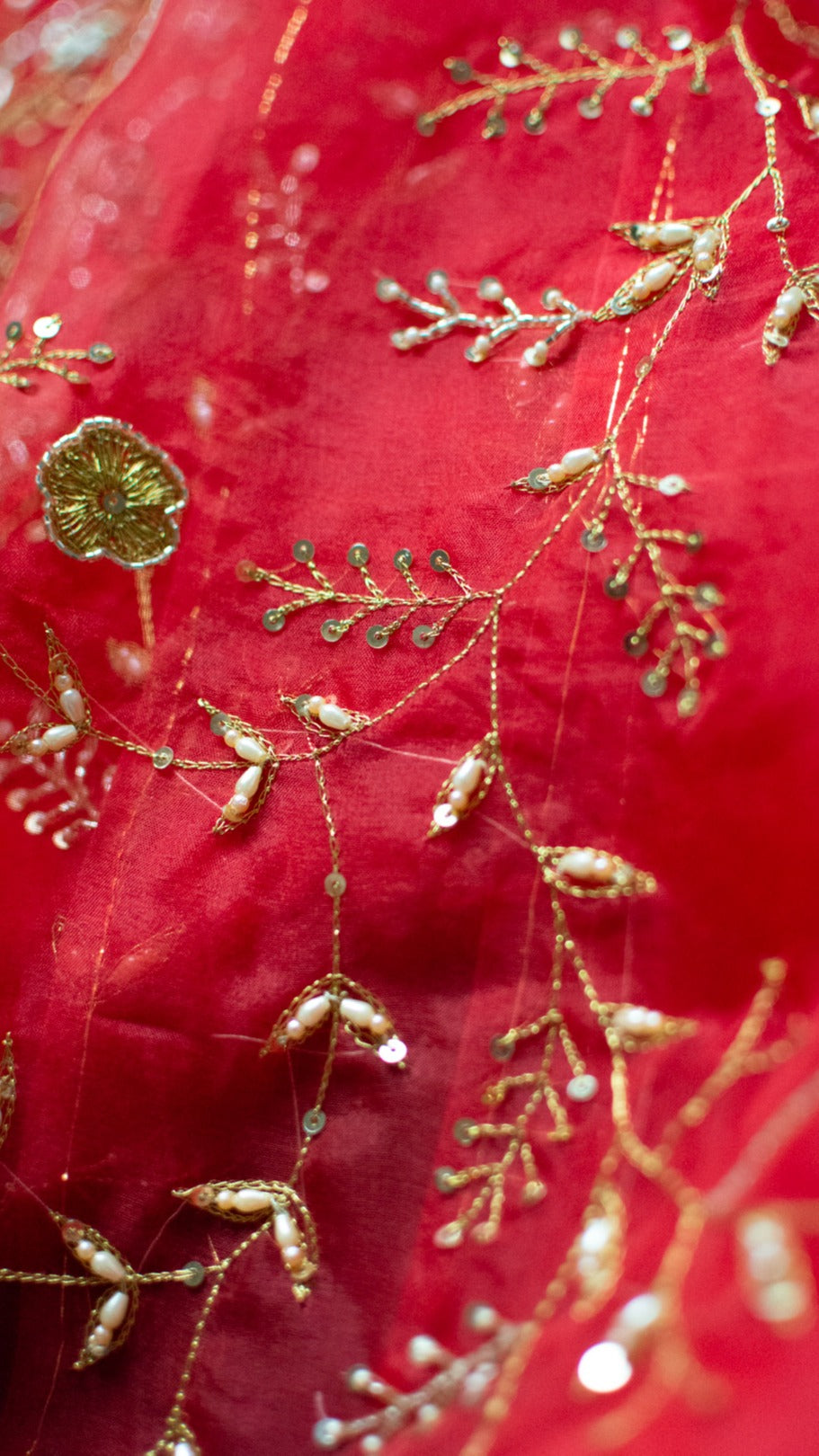Lal Jaal : Pure organza silk saree with zari and zardozi all over jaal hand embroidery - 2