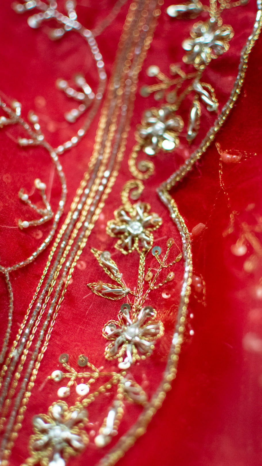 Lal Jaal : Pure organza silk saree with zari and zardozi all over jaal hand embroidery - 3