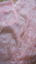 Mohati : The pure organza silk saree with pearl , cutdana and resham hand embroidery - 1