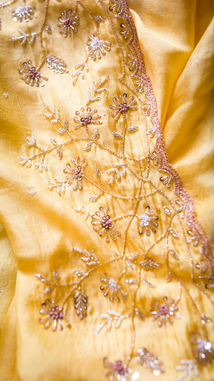 Yellow Kasani - 2
