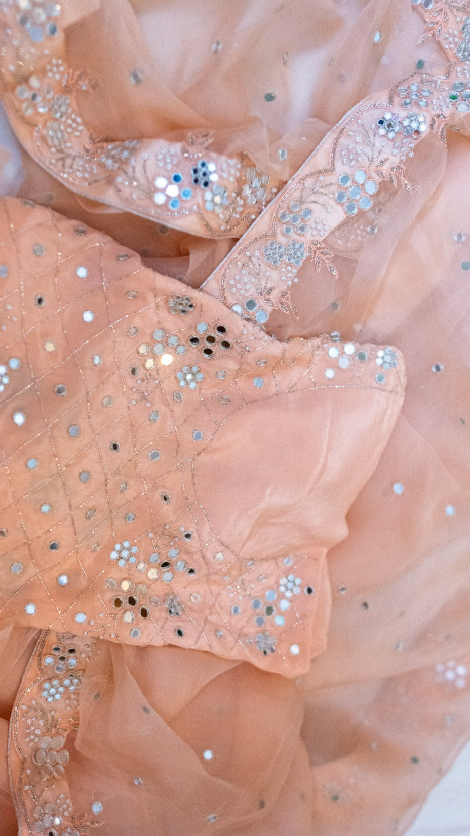 Peach Aarsi : Pure organza silk saree with mirror hand embroidery - 2